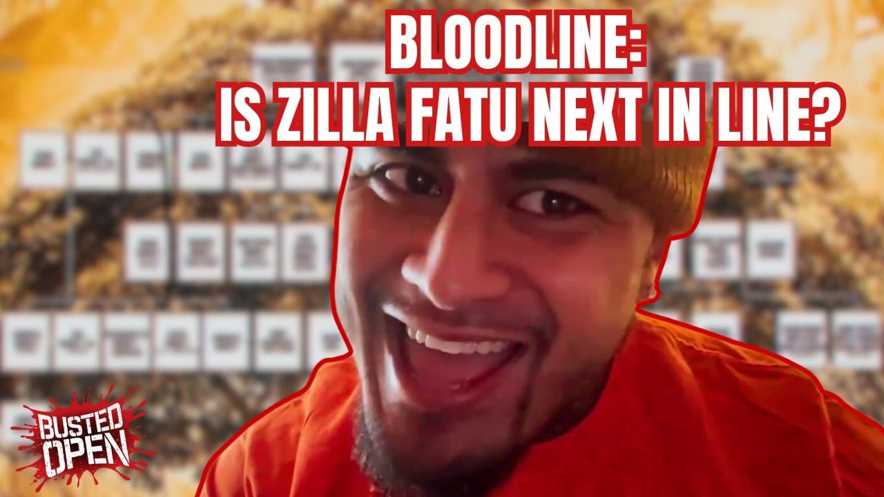 The Next Big Star: An Interview with Zilla Fatu | Busted Open