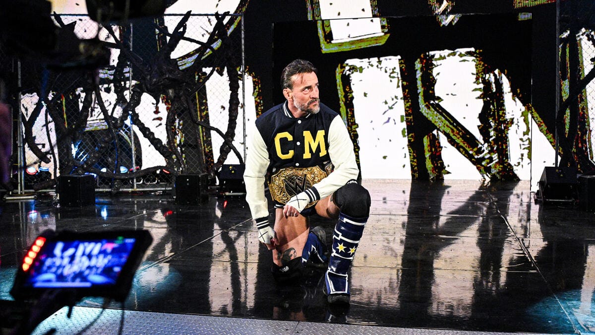 CM Punk. Photo: WWE.com