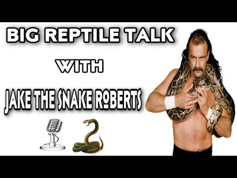 BIG REPTILE TALK with Jake The Snake Roberts