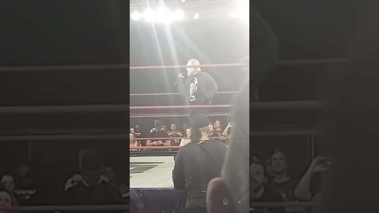 Sting first time at the 2300 Arena